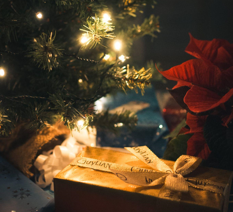 The Magic of a Christmas Tree with Lights